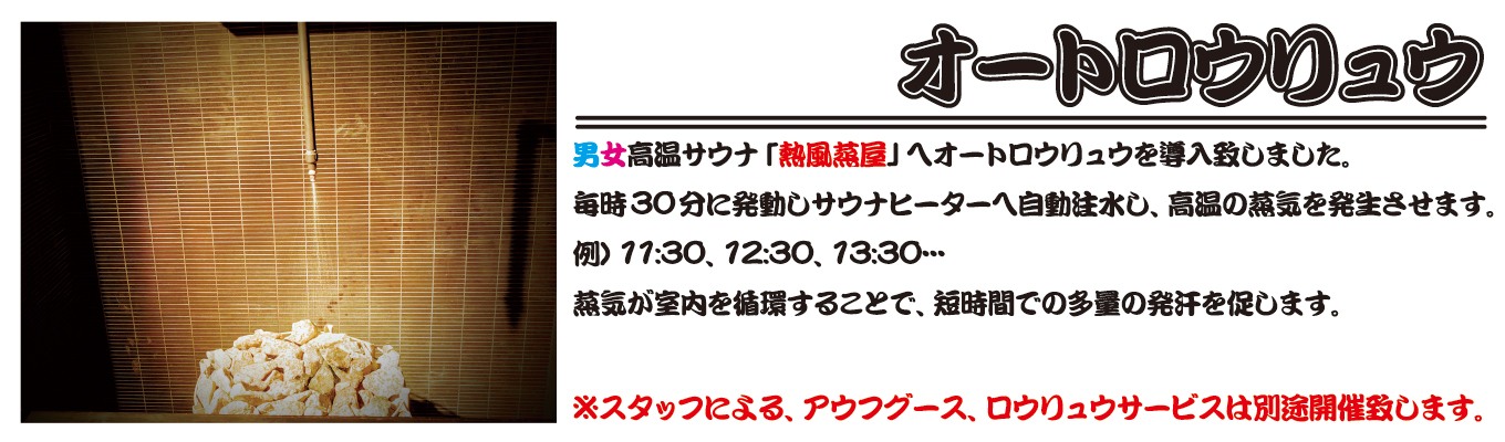 オートロウリュウ導入