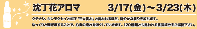 3月17〜3月23日 沈丁花アロマ