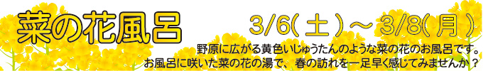 3月6〜8日 菜の花風呂