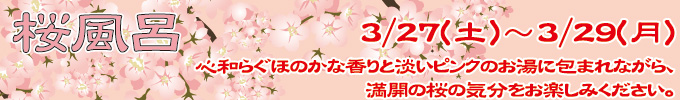 3月27日〜29日 桜風呂