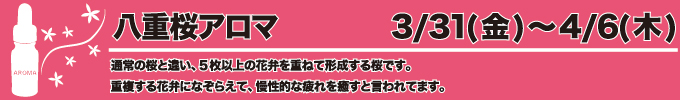 3月31〜4月6日 八重桜アロマ