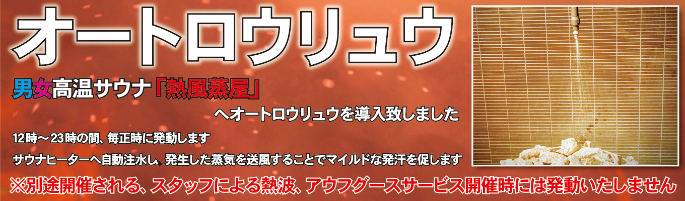 オートロウリュウ導入