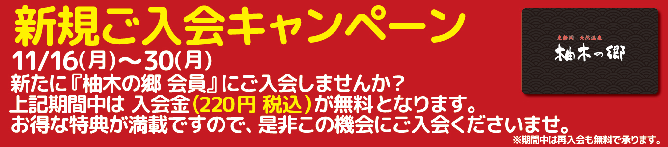 11/16(月)～11/30(月)　新規ご入会キャンペーン